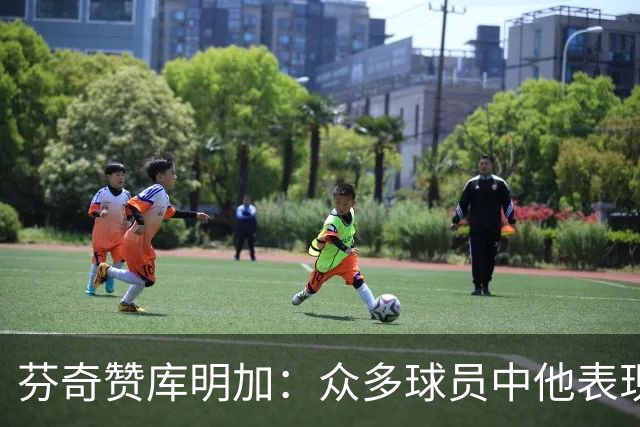 芬奇赞库明加：众多球员中他表现尤为突出